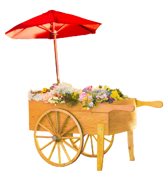 Theme prop Flower cart umbrella IMG 8588