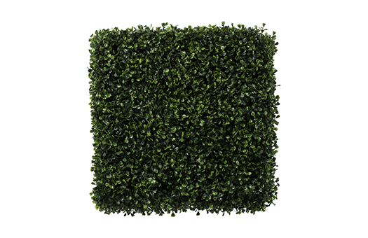 foliage boxwood cube 20in front TP193420 large