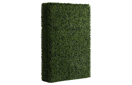 Boxwood Hedge for natural event decor