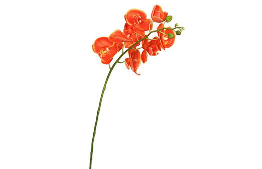 silks orchid orange phalaenopsis stem 35in FA172203 large
