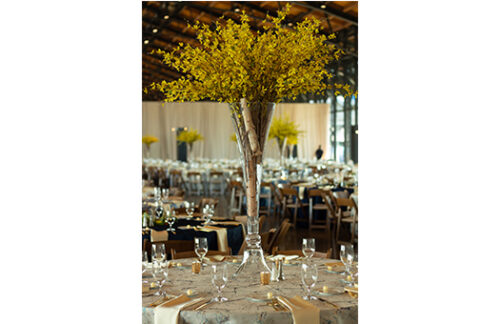 Double Trumpet Vase with Yellow Forsythia Centerpiece