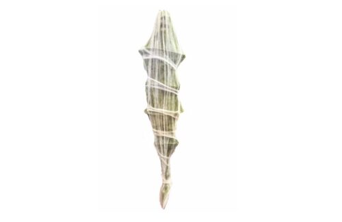 Halloween, Cocoon Corpse