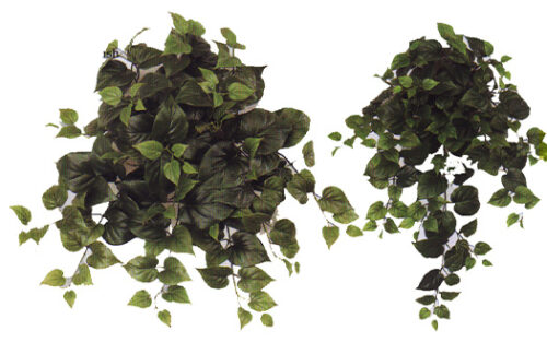 Split Philo Leaf Spray Vines