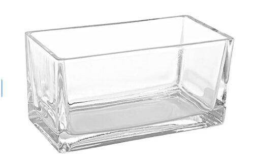 Rectangular Vase, Clear 10" x 4"
