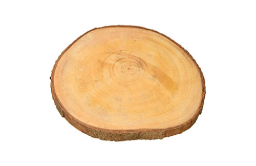 Tree Slice Wood Slab w/ Bark