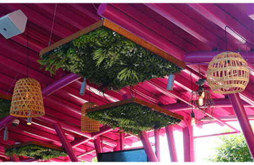 Chandelier, Mixed Variegated Boxwood, Rattan & Bulbs