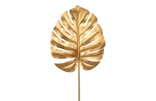 Gold Monstera Stem