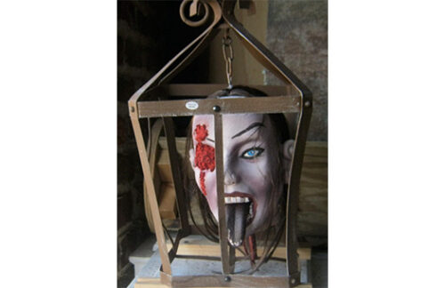 Woman's head in a box Halloween Prop
