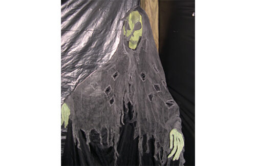 Green Skeleton Prop with Spector Cloak