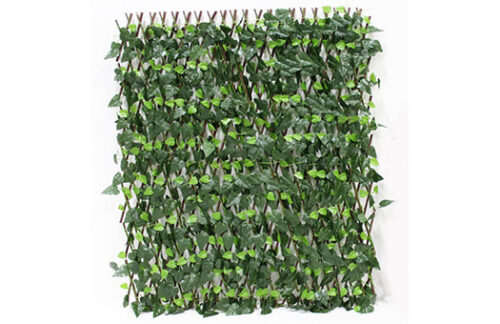 Expandable Ivy Lattice Fence