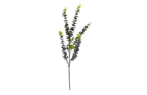 Eucalyptus Spray Stem 30"