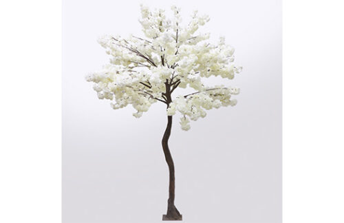 Flowering Cherry Blossom Tree 107"