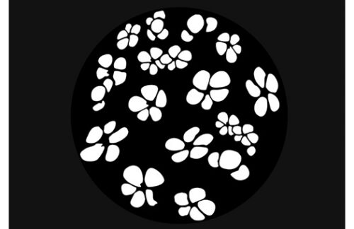 Cherry Blossom Breakup Gobo