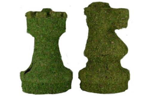 Assorted Moss Chess Pieces