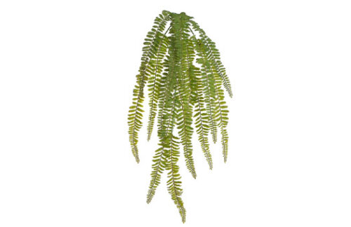 30" Hanging Fern Bush